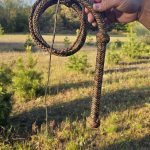 Custom Bullwhip — view 2