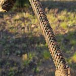 Custom Bullwhip — view 3