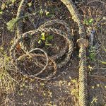 Custom Bullwhip — view 1