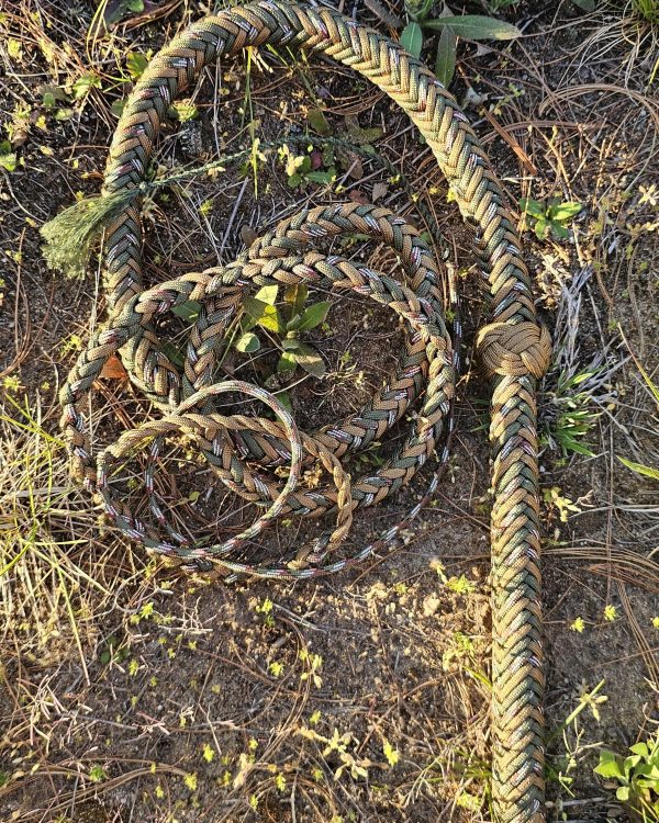 Custom Bullwhip